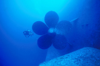 A REEF volunteer conducts a fish survey around the Spiegel Grove a few weeks after the ship was deployed as an artificial reef.